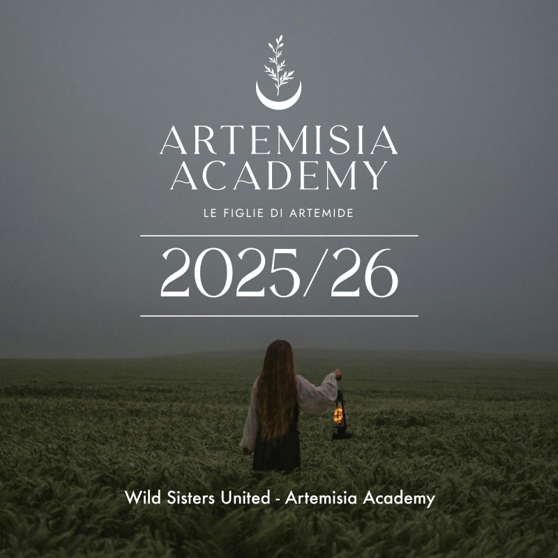 Artemisia Academy 2025/26